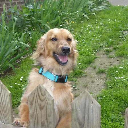 Panzió La Haute Forge *