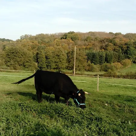 La Haute Forge Thoiré-sur-Dinan