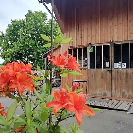 La Haute Forge -