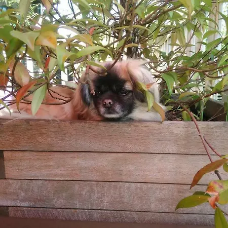 La Haute Forge Thoiré-sur-Dinan