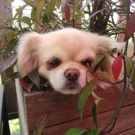 La Haute Forge Panzió