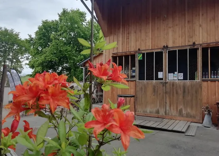 La Haute Forge - B&B *