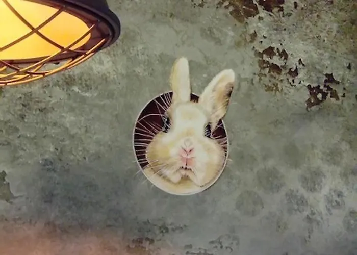 La Haute Forge Thoiré-sur-Dinan