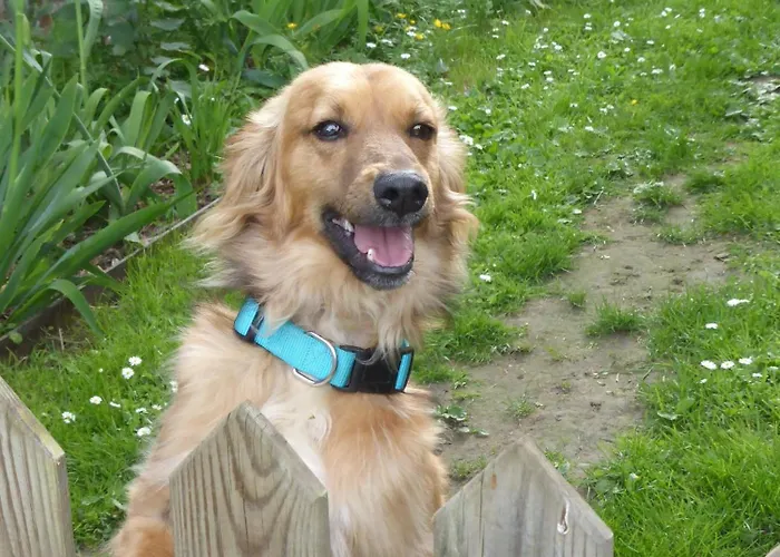 Couette-café La Haute Forge *