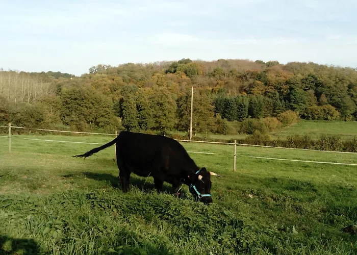 La Haute Forge Thoiré-sur-Dinan