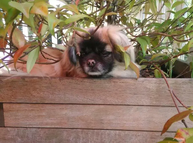 La Haute Forge Thoiré-sur-Dinan